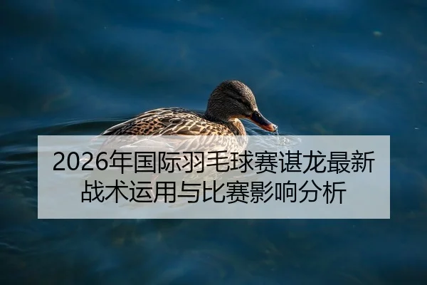 2026年国际羽毛球赛谌龙最新战术运用与比赛影响分析