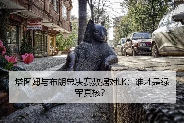 ta-tu-mu-yu-bu-lang-zong-jue-sai-shu-ju-dui-bi-shui-cai-shi-lv-jun-zhen-he-3-757.jpg