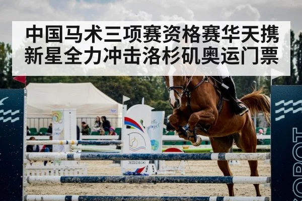 horse show jumping arena