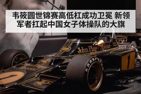 韦筱圆世锦赛高低杠成功卫冕 新领军者扛起中国女子体操队的大旗